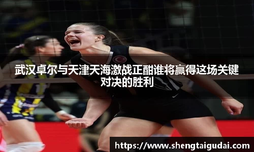 武汉卓尔与天津天海激战正酣谁将赢得这场关键对决的胜利