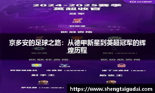 京多安的足球之路：从德甲新星到英超冠军的辉煌历程
